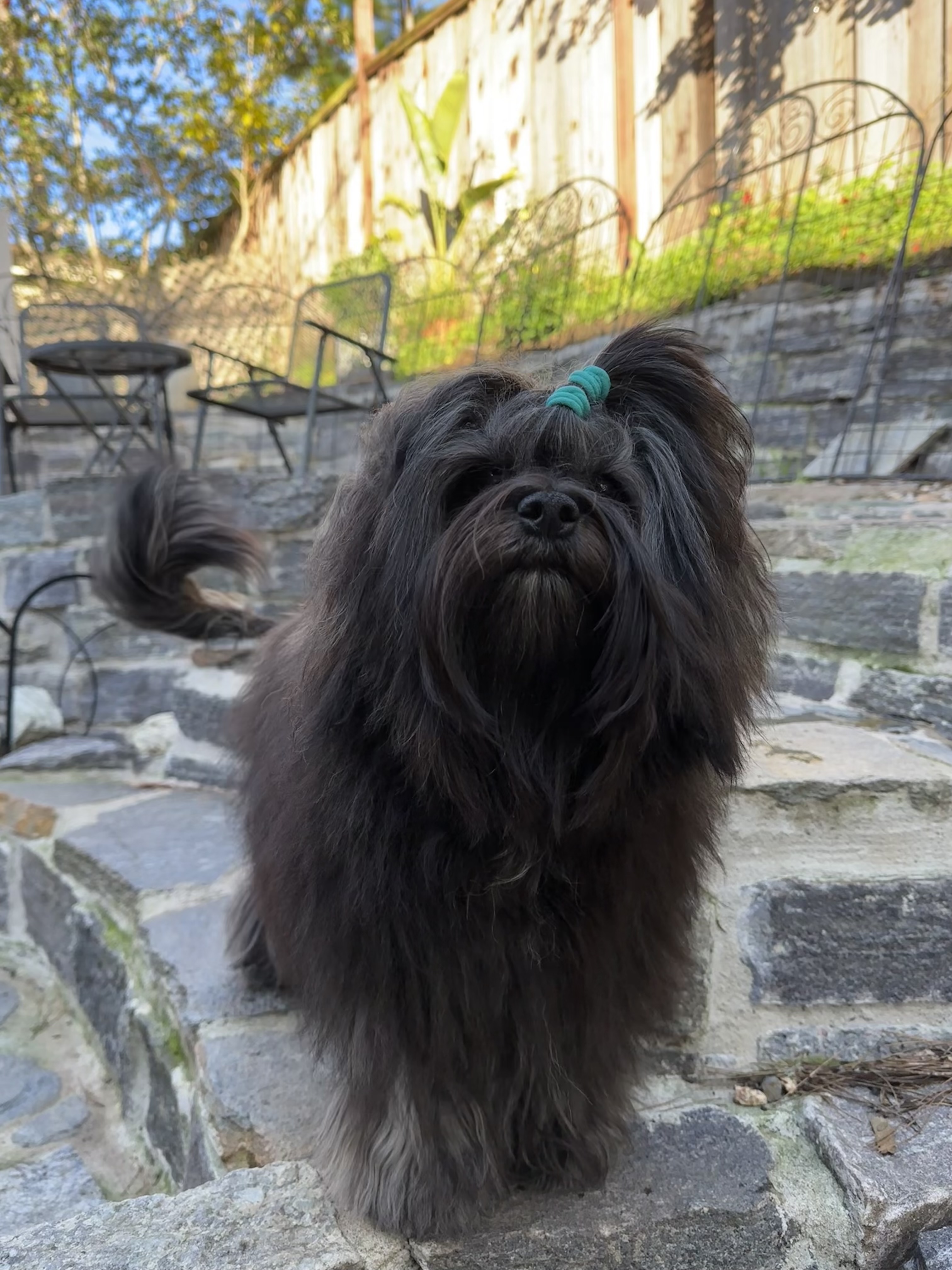 Lucie